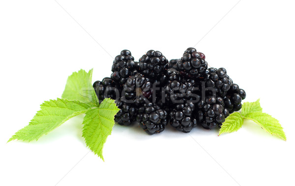 Blackberries Stock photo © Es75