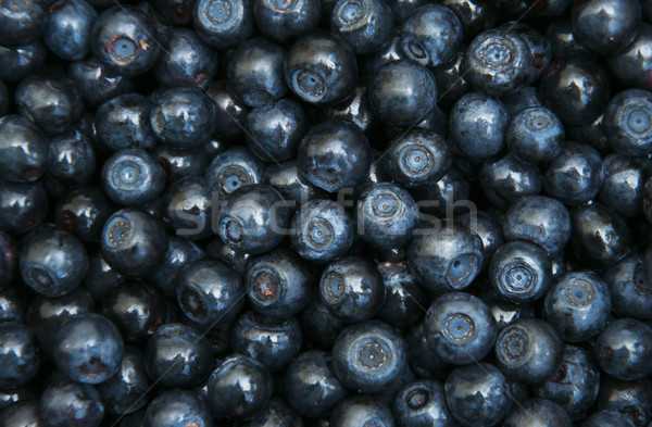 Blueberries Stock photo © Es75