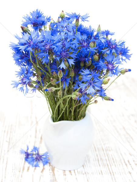 Niebieski starych biały kwiaty liści Zdjęcia stock © Es75