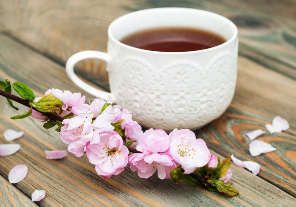 Tasse Tee sakura Blüte rosa alten Stock foto © Es75