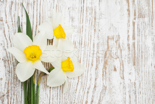 Stockfoto: Narcissen · voorjaar · oude · houten · blad · zomer