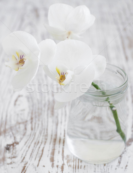 Bouquet Orchideen weiß Glas Blume Natur Stock foto © Es75