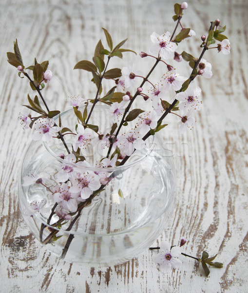 Kirschblüten Frühling Glas Vase Wasser Natur Stock foto © Es75