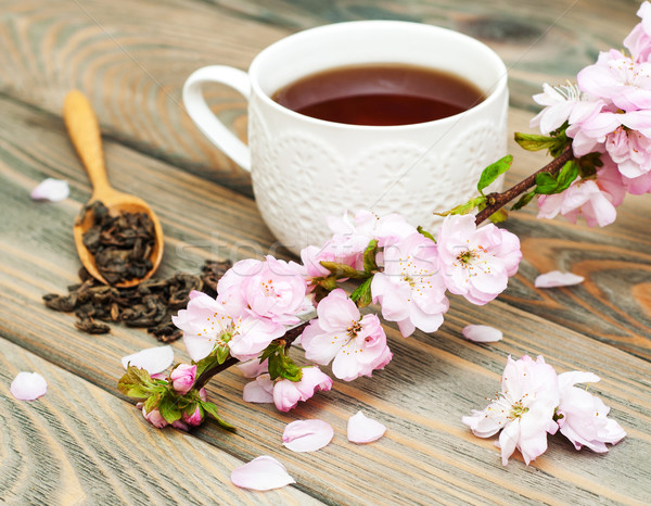 Tasse Tee sakura Blüte rosa alten Stock foto © Es75
