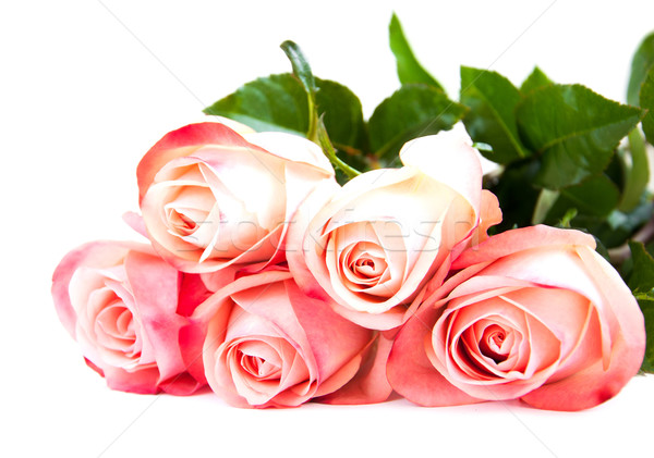 Rózsaszín rózsa fehér virágok virág levél rózsák Stock fotó © Es75