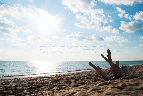 Black Sea's beach Stock photo © Es75