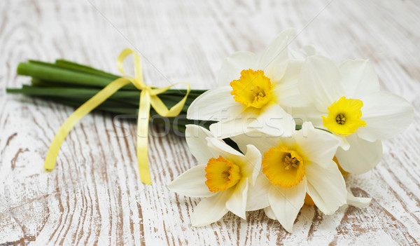 daffodils Stock photo © Es75
