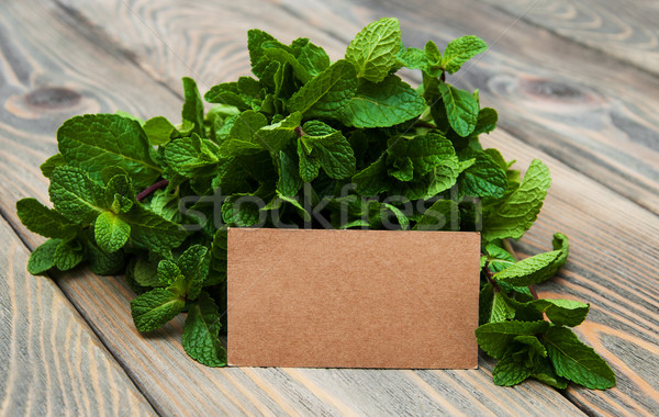 Stock foto: Blätter · mint · Label · alten · Holz · Papier