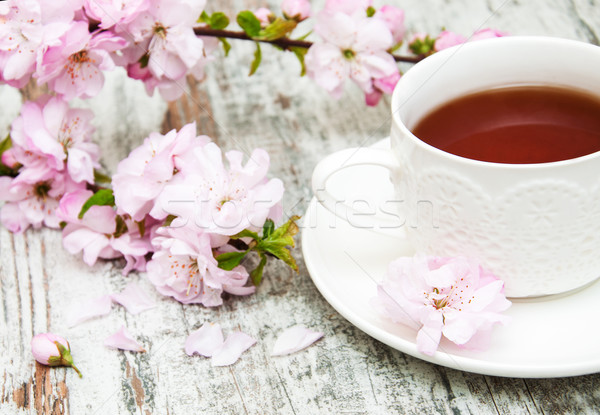 Cup tè sakura fiore rosa vecchio Foto d'archivio © Es75