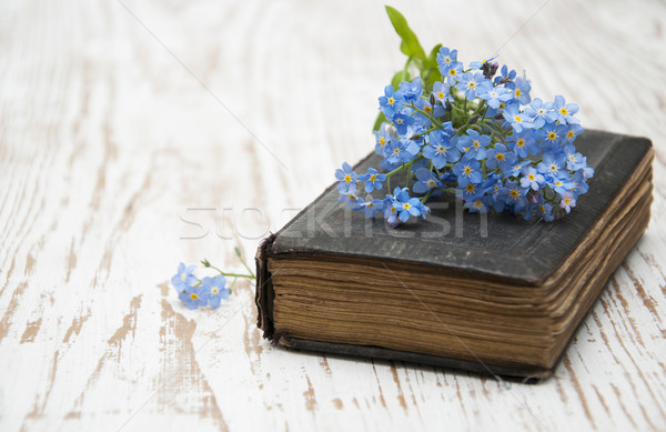 Forget-me-nots flowers and old book Stock photo © Es75