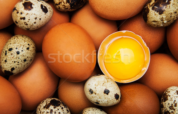 different types of eggs Stock photo © Es75