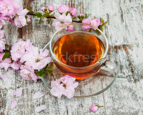 Cup tè sakura fiore rosa vecchio Foto d'archivio © Es75