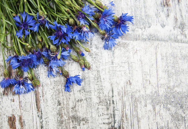 Bukiet niebieski starych kwiaty wiosną Zdjęcia stock © Es75