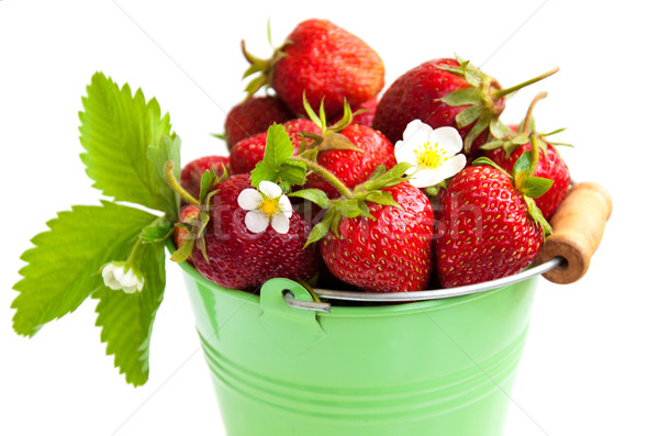 Completo secchio fragola bianco fiore foglia Foto d'archivio © Es75