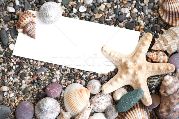 Foto stock: Papel · em · branco · areia · da · praia · conchas · papel · natureza · verão