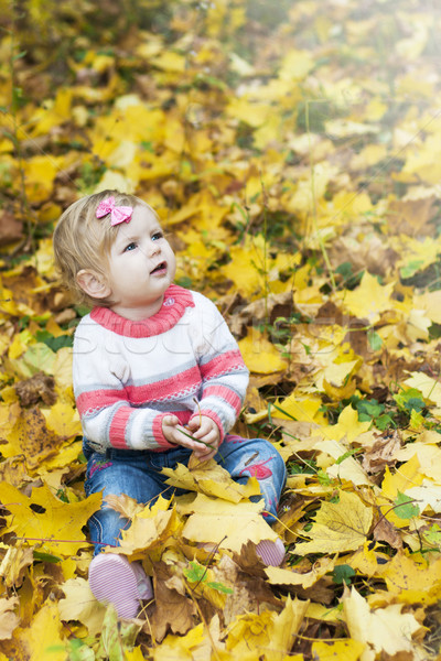 Baby girl with autumn leaves Stock photo © Es75