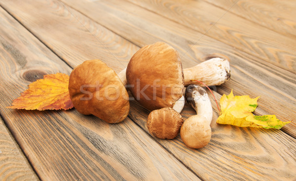 Boletos cogumelos textura madeira Foto stock © Es75