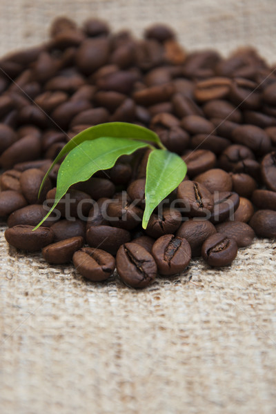 Coffee beans Stock photo © Es75