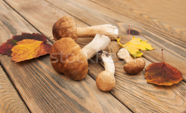 boletus mushrooms with autumn leaves  on a wooden background Stock photo © Es75