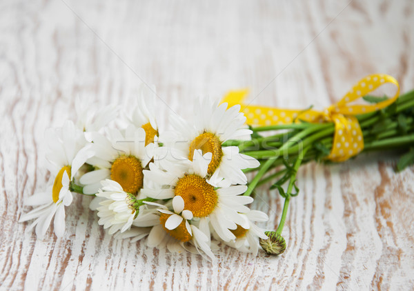 [[stock_photo]]: Daisy · fleurs · bouquet · bois · nature · feuille