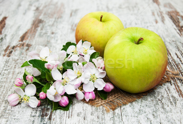 Äpfel Apfelbaum Blüten alten Holztisch Essen Stock foto © Es75