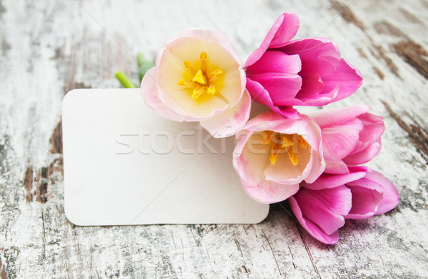 Tulpen kaart roze oude houten hout Stockfoto © Es75