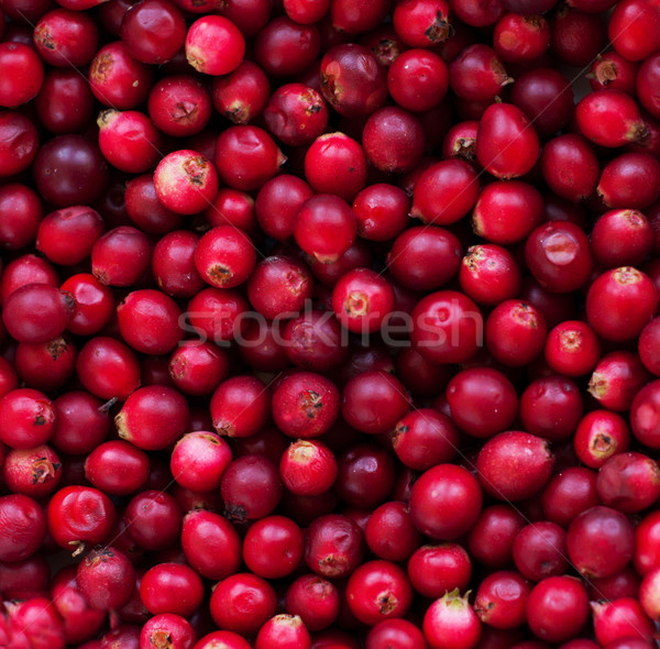 Canneberges rouge sauvage alimentaire [[stock_photo]] © Es75