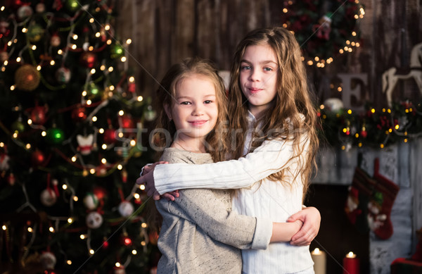 Stockfoto: Gelukkig · grappig · kinderen · christmas · twee · meisjes