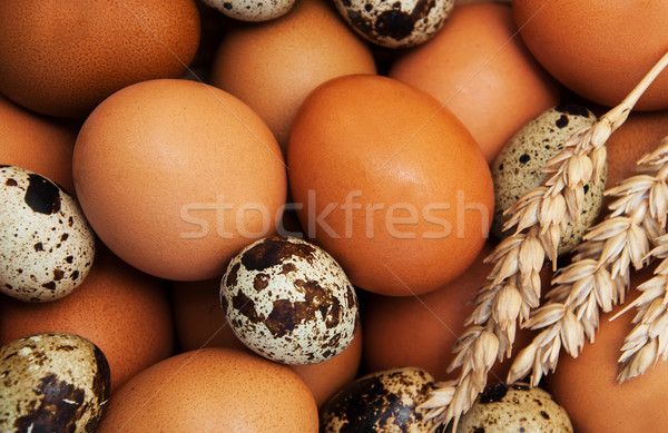 different types of eggs Stock photo © Es75