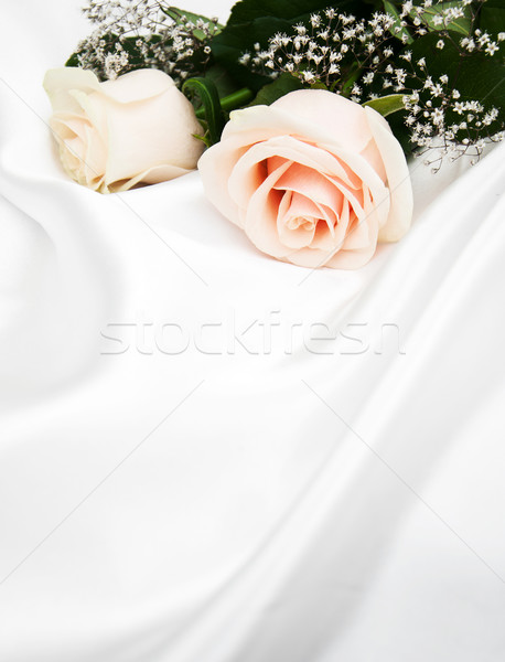 Rosas branco seda dois flores textura Foto stock © Es75