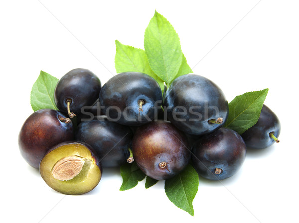 Fresh purple plums Stock photo © Es75