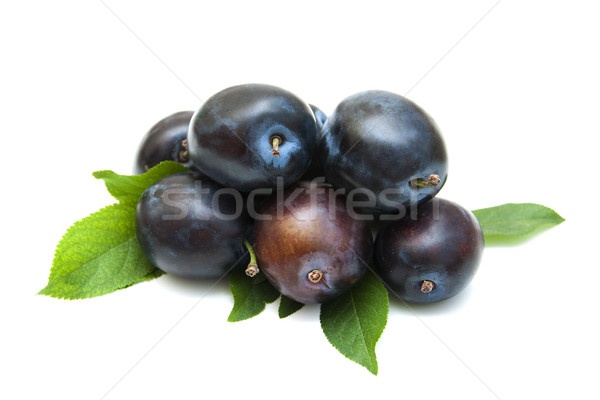 Fresh purple plums Stock photo © Es75