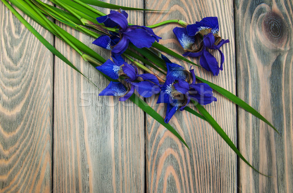 Iris çiçekler eski ahşap arka plan yaz Stok fotoğraf © Es75