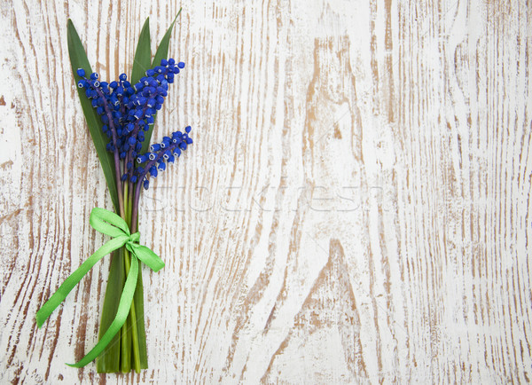 Grape hyacinth Stock photo © Es75