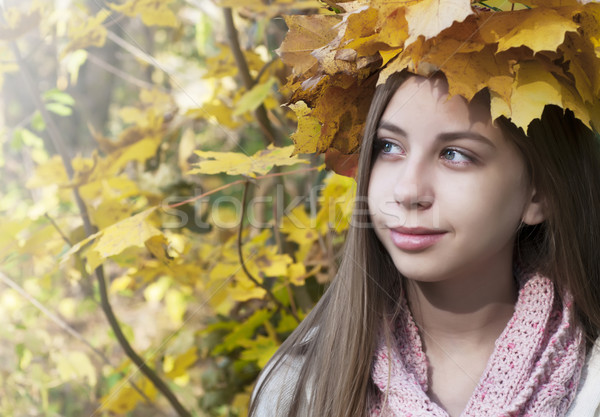 Foto d'archivio: Ritratto · autunno · parco · bella · giovane · ragazza · faccia