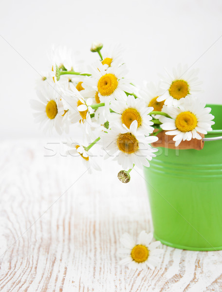 [[stock_photo]]: Daisy · fleurs · seau · bois · nature · feuille