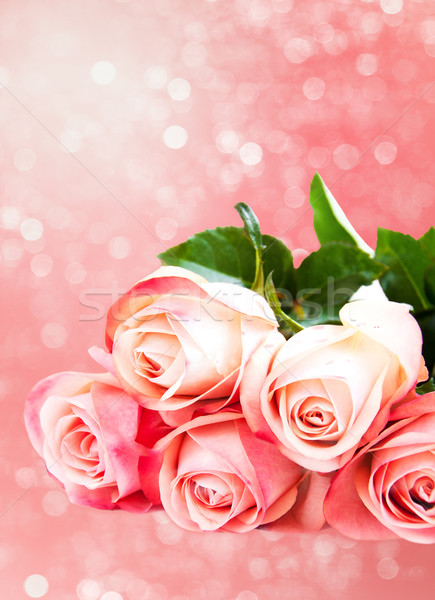 Rózsaszín rózsa virágok bokeh virág levél rózsák Stock fotó © Es75