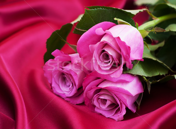 Foto stock: Rosas · cetim · rosa · romântico · vermelho · flor