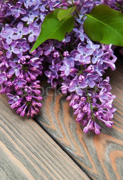 Stock photo: Lilac flowers