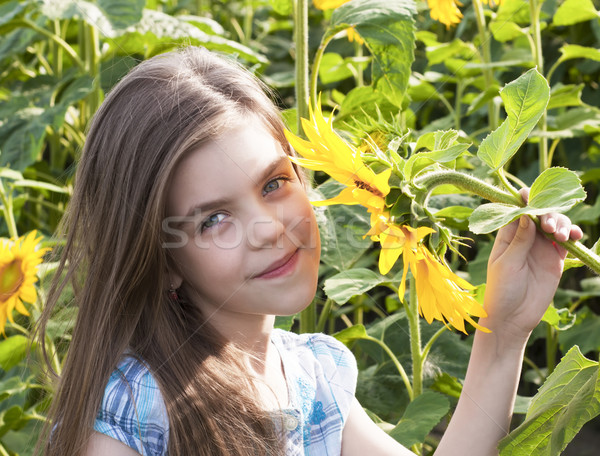 Hermosa nino girasol verano campo cielo Foto stock © Es75