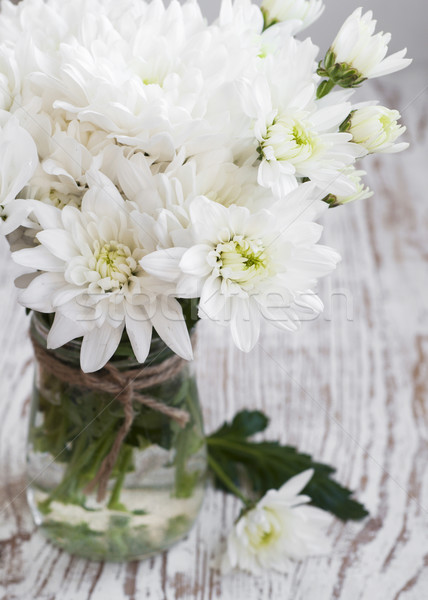 Blanco crisantemo jarrón flor naturaleza Foto stock © Es75