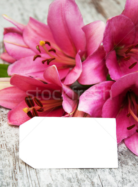 Pink lily with tag Stock photo © Es75
