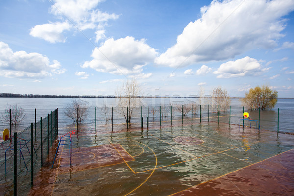 Spring flooding water Stock photo © Escander81