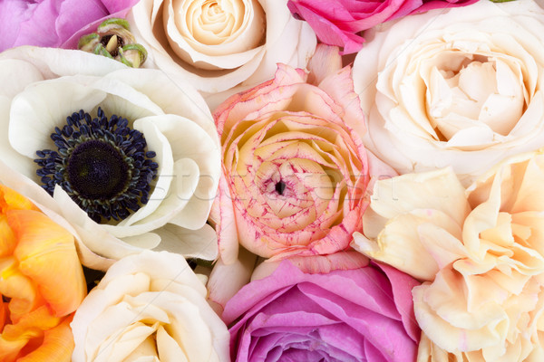 Amazing flower bouquet close up Stock photo © Escander81
