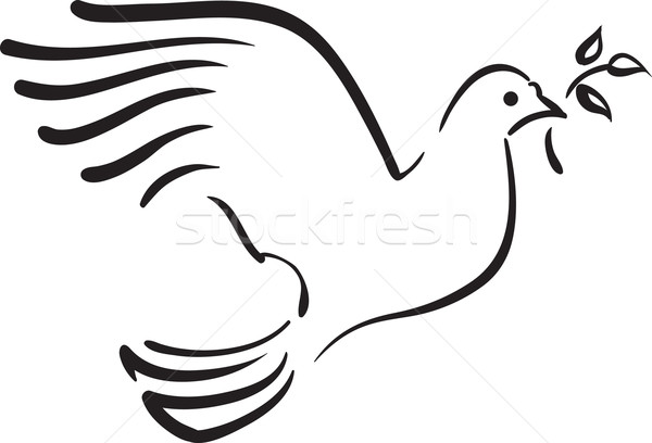 Vector witte duif tak gebouw blad Stockfoto © ESSL