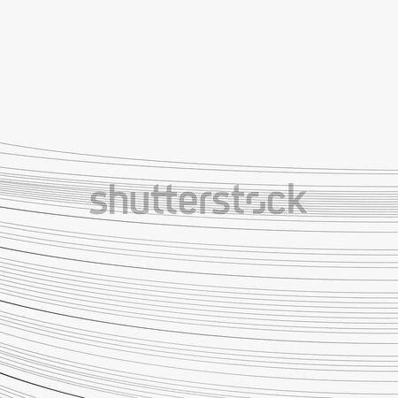 Vector abstract background with parallel curved lines Stock photo © ESSL