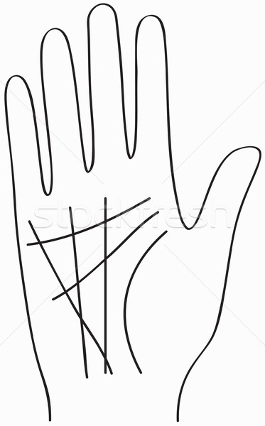 Stock photo: hand, Chiromancy lines, Black contour of a palm