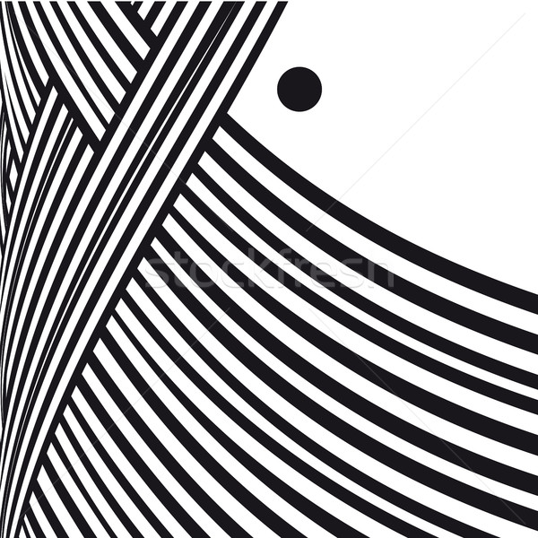 Abstract background. Black and white curve lines with frame for message. Stock photo © ESSL