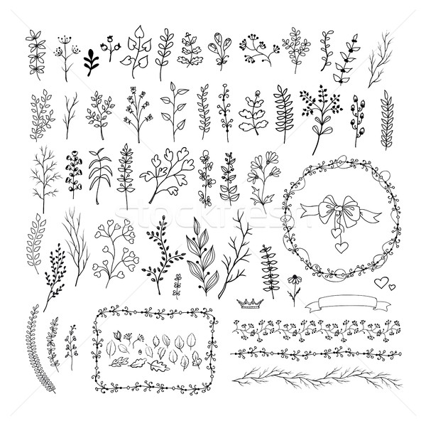 Stock photo: Floral vintage hand drawn vector collection