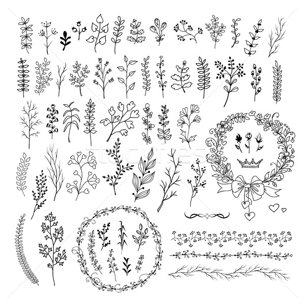 Hand drawn line floral and romantic design elements . Big set of isolated vector doodles. Stock photo © ESSL